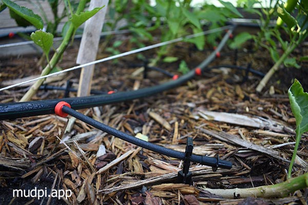 MudPi Drip Lines Raspberry Pi